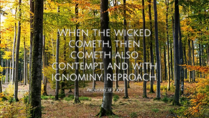 Picture 05 - Proverbs 18:3 KJV Desktop Wallpaper - When the wicked cometh, then cometh also - Desktop Bible Verse Wallpaper