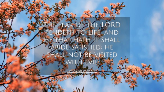 Picture 05 - Proverbs 19:23 KJV Desktop Wallpaper - The fear of the LORD tendeth to life: and he that - Desktop Bible Verse Wallpaper