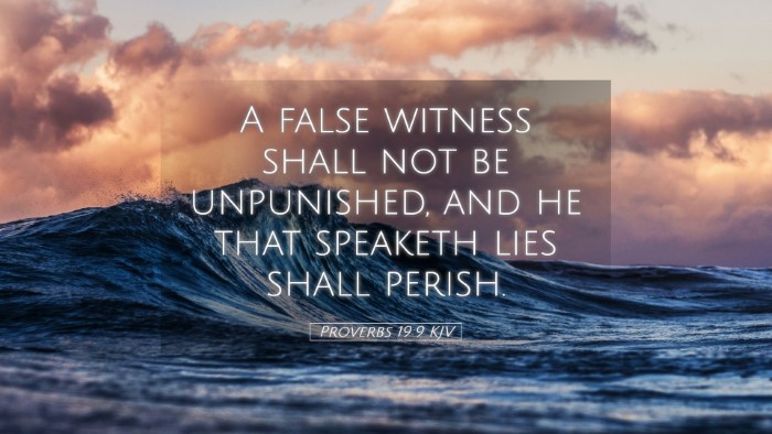 Picture 05 - Proverbs 19:9 KJV Desktop Wallpaper - A false witness shall not be unpunished, and he - Desktop Bible Verse Wallpaper
