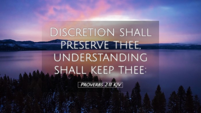 Picture 05 - Proverbs 2:11 KJV Desktop Wallpaper - Discretion shall preserve thee, understanding - Desktop Bible Verse Wallpaper