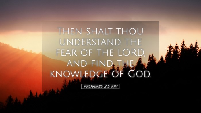 Picture 05 - Proverbs 2:5 KJV Desktop Wallpaper - Then shalt thou understand the fear of the LORD, - Desktop Bible Verse Wallpaper