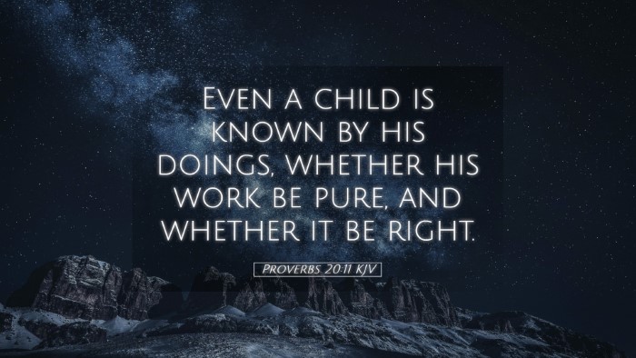 Picture 05 - Proverbs 20:11 KJV Desktop Wallpaper - Even a child is known by his doings, whether his - Desktop Bible Verse Wallpaper