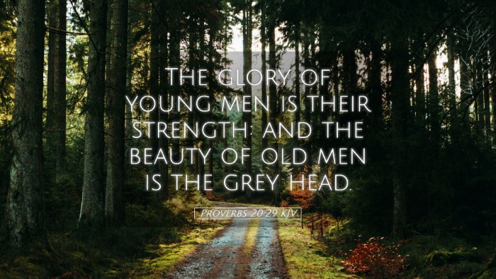 Picture 05 - Proverbs 20:29 KJV Desktop Wallpaper - The glory of young men is their strength: and the - Desktop Bible Verse Wallpaper