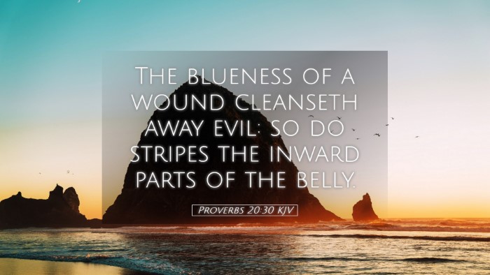 Picture 05 - Proverbs 20:30 KJV Desktop Wallpaper - The blueness of a wound cleanseth away evil: so - Desktop Bible Verse Wallpaper
