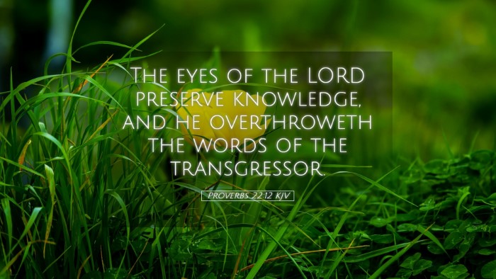 Picture 05 - Proverbs 22:12 KJV Desktop Wallpaper - The eyes of the LORD preserve knowledge, and he - Desktop Bible Verse Wallpaper