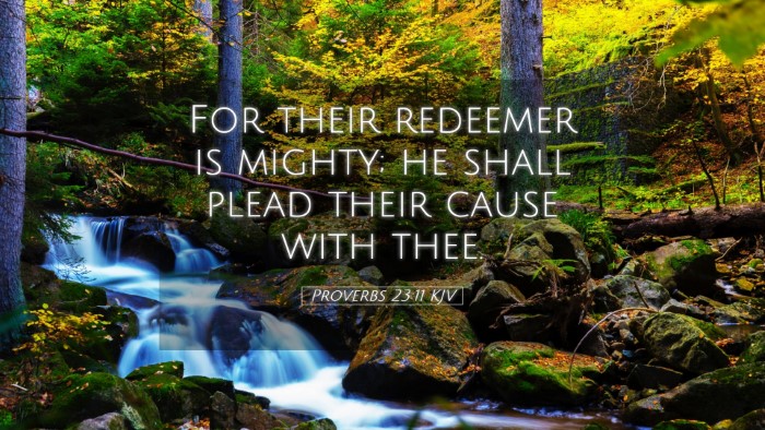 Picture 05 - Proverbs 23:11 KJV Desktop Wallpaper - For their redeemer is mighty; he shall plead - Desktop Bible Verse Wallpaper