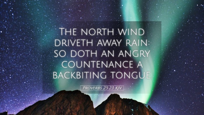 Picture 05 - Proverbs 25:23 KJV Desktop Wallpaper - The north wind driveth away rain: so doth an - Desktop Bible Verse Wallpaper