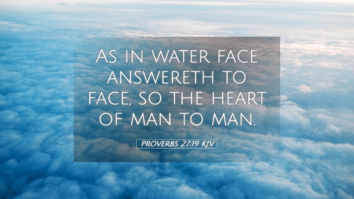 Picture 05 - Proverbs 27:19 KJV Desktop Wallpaper - As in water face answereth to face, so the heart - Desktop Bible Verse Wallpaper