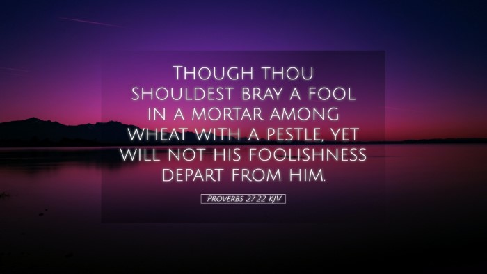Picture 05 - Proverbs 27:22 KJV Desktop Wallpaper - Though thou shouldest bray a fool in a mortar - Desktop Bible Verse Wallpaper