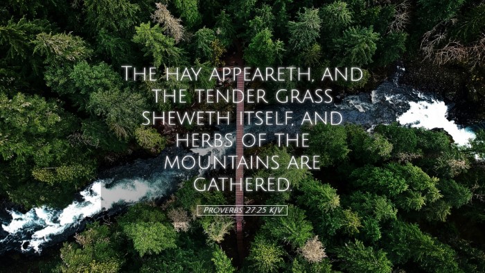 Picture 05 - Proverbs 27:25 KJV Desktop Wallpaper - The hay appeareth, and the tender grass sheweth - Desktop Bible Verse Wallpaper
