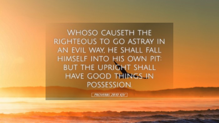 Picture 05 - Proverbs 28:10 KJV Desktop Wallpaper - Whoso causeth the righteous to go astray in an - Desktop Bible Verse Wallpaper