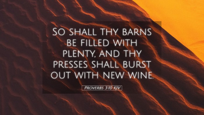 Picture 05 - Proverbs 3:10 KJV Desktop Wallpaper - So shall thy barns be filled with plenty, and thy - Desktop Bible Verse Wallpaper