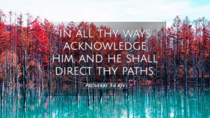 Picture 05 - Proverbs 3:6 KJV Desktop Wallpaper - In all thy ways acknowledge him, and he shall - Desktop Bible Verse Wallpaper