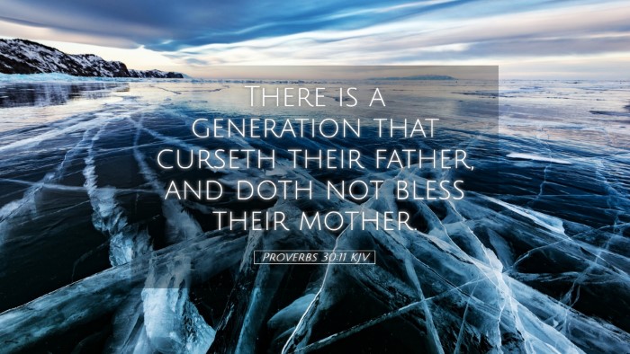 Picture 05 - Proverbs 30:11 KJV Desktop Wallpaper - There is a generation that curseth their father, - Desktop Bible Verse Wallpaper