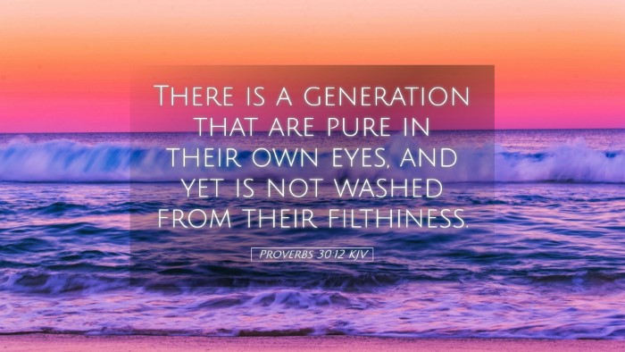 Picture 05 - Proverbs 30:12 KJV Desktop Wallpaper - There is a generation that are pure in their own - Desktop Bible Verse Wallpaper