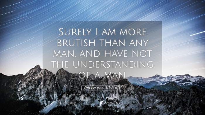 Picture 05 - Proverbs 30:2 KJV Desktop Wallpaper - Surely I am more brutish than any man, and have - Desktop Bible Verse Wallpaper