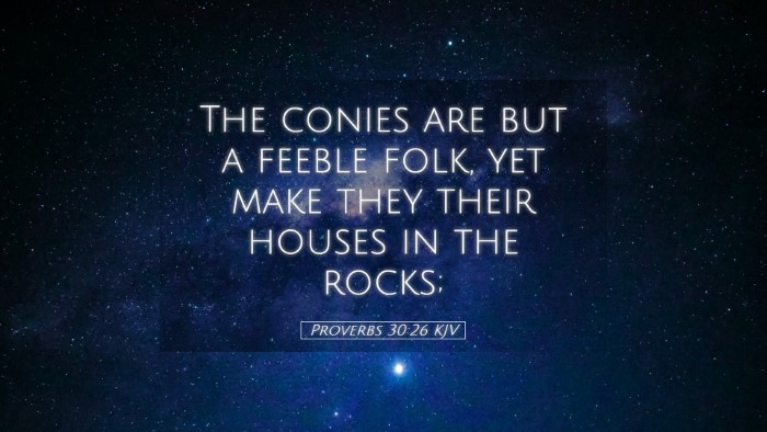 Picture 05 - Proverbs 30:26 KJV Desktop Wallpaper - The conies are but a feeble folk, yet make they - Desktop Bible Verse Wallpaper