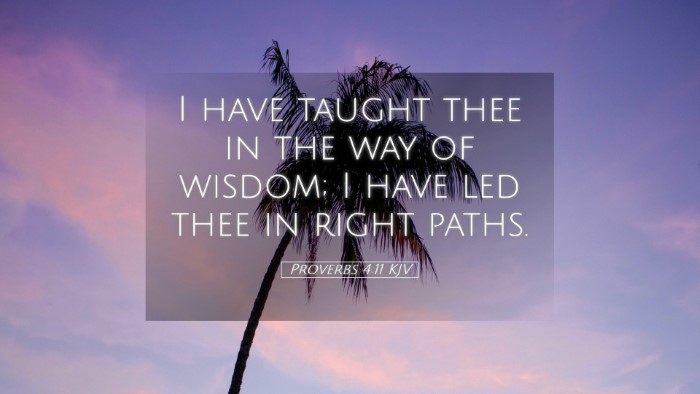 Picture 05 - Proverbs 4:11 KJV Desktop Wallpaper - I have taught thee in the way of wisdom; I have - Desktop Bible Verse Wallpaper