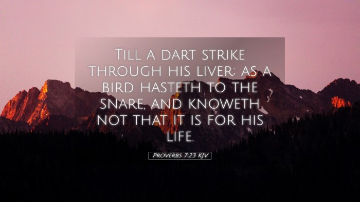 Picture 05 - Proverbs 7:23 KJV Desktop Wallpaper - Till a dart strike through his liver; as a bird - Desktop Bible Verse Wallpaper