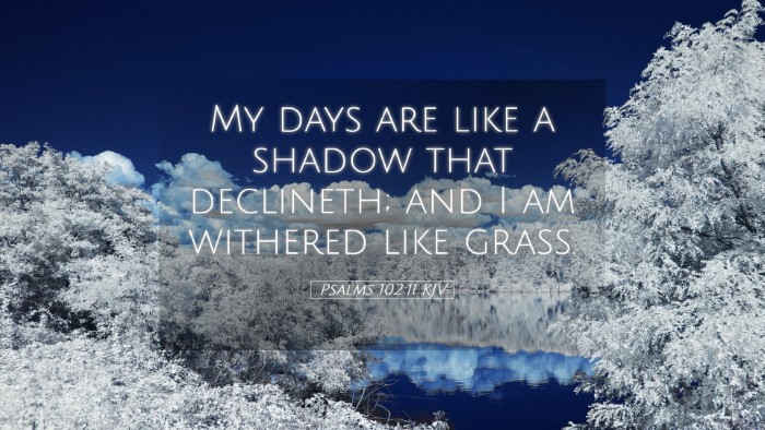 Picture 05 - Psalms 102:11 KJV Desktop Wallpaper - My days are like a shadow that declineth; and I - Desktop Bible Verse Wallpaper