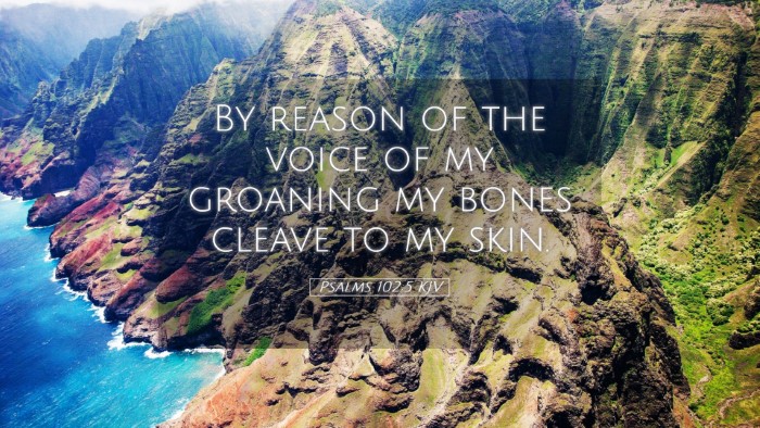 Picture 05 - Psalms 102:5 KJV Desktop Wallpaper - By reason of the voice of my groaning my bones - Desktop Bible Verse Wallpaper