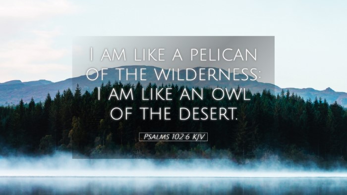 Picture 05 - Psalms 102:6 KJV Desktop Wallpaper - I am like a pelican of the wilderness: I am like - Desktop Bible Verse Wallpaper