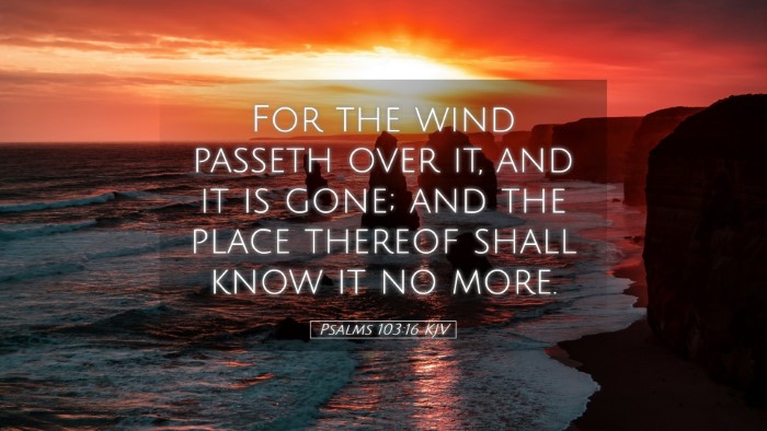 Picture 05 - Psalms 103:16 KJV Desktop Wallpaper - For the wind passeth over it, and it is gone; and - Desktop Bible Verse Wallpaper