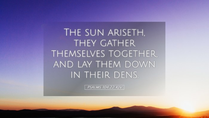 Picture 05 - Psalms 104:22 KJV Desktop Wallpaper - The sun ariseth, they gather themselves together, - Desktop Bible Verse Wallpaper