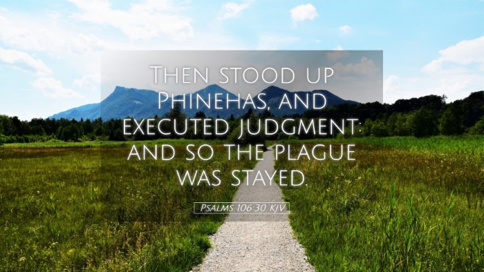 Picture 05 - Psalms 106:30 KJV Desktop Wallpaper - Then stood up Phinehas, and executed judgment: - Desktop Bible Verse Wallpaper