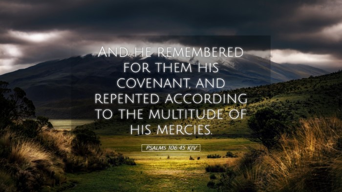 Picture 05 - Psalms 106:45 KJV Desktop Wallpaper - And he remembered for them his covenant, and - Desktop Bible Verse Wallpaper