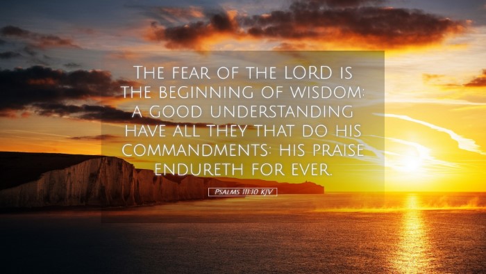Picture 05 - Psalms 111:10 KJV Desktop Wallpaper - The fear of the LORD is the beginning of wisdom: - Desktop Bible Verse Wallpaper