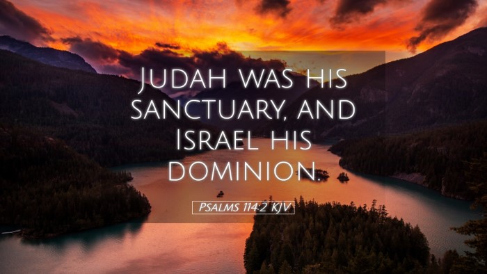 Picture 05 - Psalms 114:2 KJV Desktop Wallpaper - Judah was his sanctuary, and Israel his - Desktop Bible Verse Wallpaper