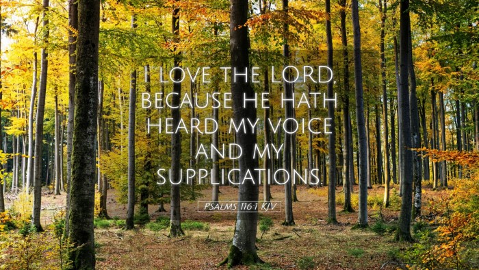 Picture 05 - Psalms 116:1 KJV Desktop Wallpaper - I love the LORD, because he hath heard my voice - Desktop Bible Verse Wallpaper