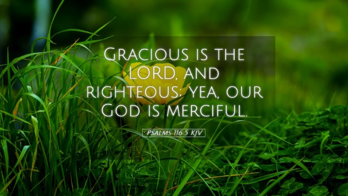 Picture 05 - Psalms 116:5 KJV Desktop Wallpaper - Gracious is the LORD, and righteous; yea, our God - Desktop Bible Verse Wallpaper