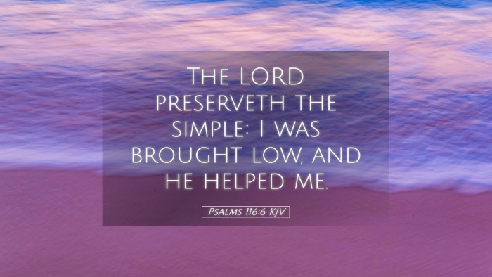Picture 05 - Psalms 116:6 KJV Desktop Wallpaper - The LORD preserveth the simple: I was brought - Desktop Bible Verse Wallpaper