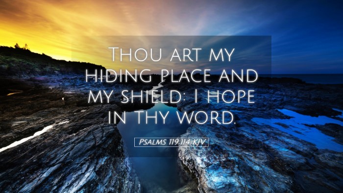 Picture 05 - Psalms 119:114 KJV Desktop Wallpaper - Thou art my hiding place and my shield: I hope in - Desktop Bible Verse Wallpaper