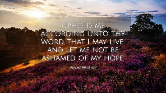 Picture 05 - Psalms 119:116 KJV Desktop Wallpaper - Uphold me according unto thy word, that I may - Desktop Bible Verse Wallpaper
