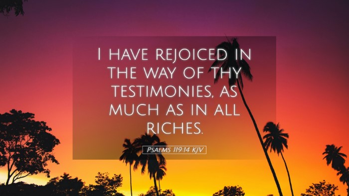 Picture 05 - Psalms 119:14 KJV Desktop Wallpaper - I have rejoiced in the way of thy testimonies, as - Desktop Bible Verse Wallpaper