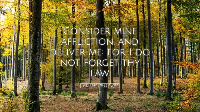 Picture 05 - Psalms 119:153 KJV Desktop Wallpaper - Consider mine affliction, and deliver me: for I - Desktop Bible Verse Wallpaper