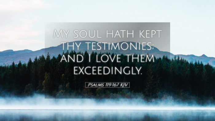 Picture 05 - Psalms 119:167 KJV Desktop Wallpaper - My soul hath kept thy testimonies; and I love - Desktop Bible Verse Wallpaper