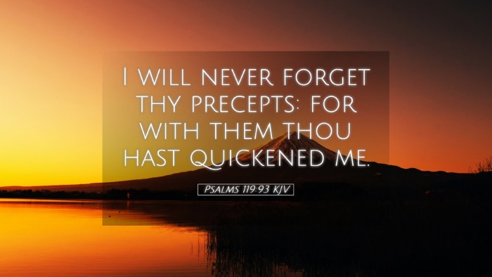Picture 05 - Psalms 119:93 KJV Desktop Wallpaper - I will never forget thy precepts: for with them - Desktop Bible Verse Wallpaper