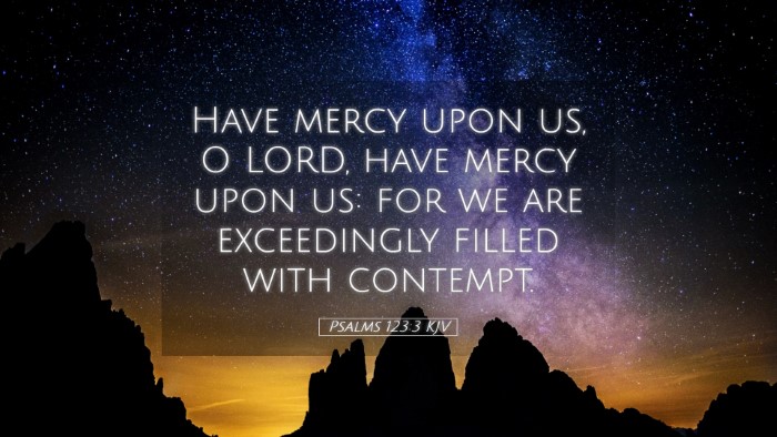 Picture 05 - Psalms 123:3 KJV Desktop Wallpaper - Have mercy upon us, O LORD, have mercy upon us: - Desktop Bible Verse Wallpaper