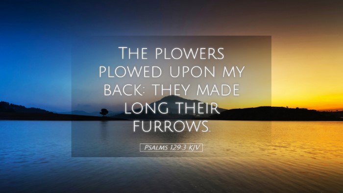Picture 05 - Psalms 129:3 KJV Desktop Wallpaper - The plowers plowed upon my back: they made long - Desktop Bible Verse Wallpaper