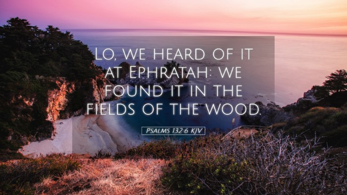 Picture 05 - Psalms 132:6 KJV Desktop Wallpaper - Lo, we heard of it at Ephratah: we found it in - Desktop Bible Verse Wallpaper