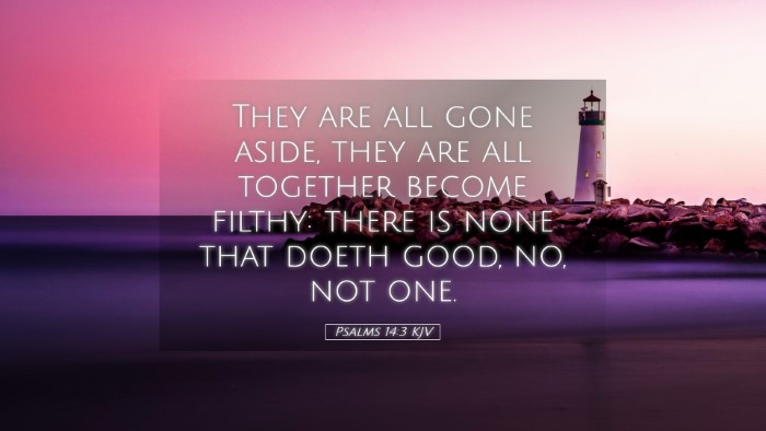 Picture 05 - Psalms 14:3 KJV Desktop Wallpaper - They are all gone aside, they are all together - Desktop Bible Verse Wallpaper