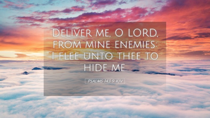Picture 05 - Psalms 143:9 KJV Desktop Wallpaper - Deliver me, O LORD, from mine enemies: I flee - Desktop Bible Verse Wallpaper