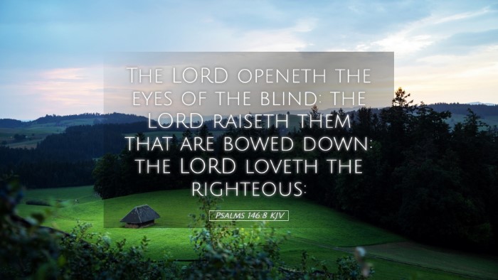 Picture 05 - Psalms 146:8 KJV Desktop Wallpaper - The LORD openeth the eyes of the blind: the LORD - Desktop Bible Verse Wallpaper