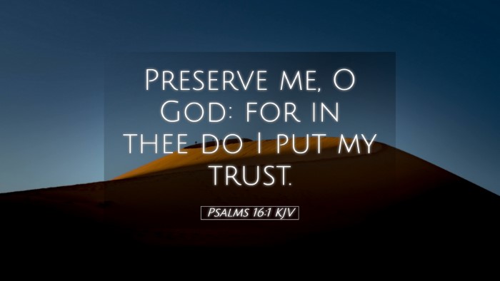 Picture 05 - Psalms 16:1 KJV Desktop Wallpaper - Preserve me, O God: for in thee do I put my - Desktop Bible Verse Wallpaper