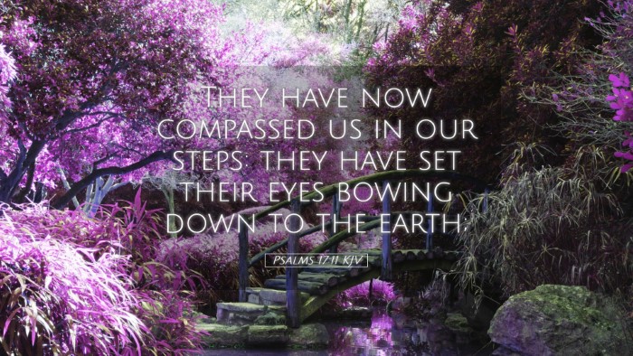 Picture 05 - Psalms 17:11 KJV Desktop Wallpaper - They have now compassed us in our steps: they - Desktop Bible Verse Wallpaper