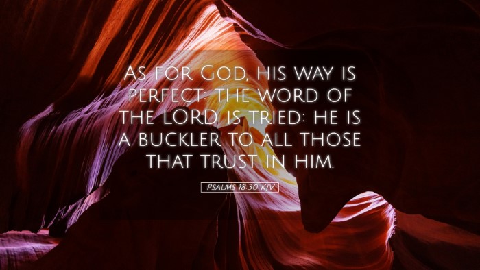 Picture 05 - Psalms 18:30 KJV Desktop Wallpaper - As for God, his way is perfect: the word of the - Desktop Bible Verse Wallpaper